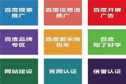 SEM竞价代运营成功案例解析